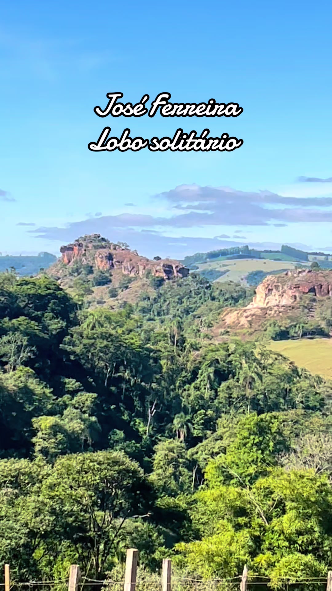 @joseferreiraferreira8