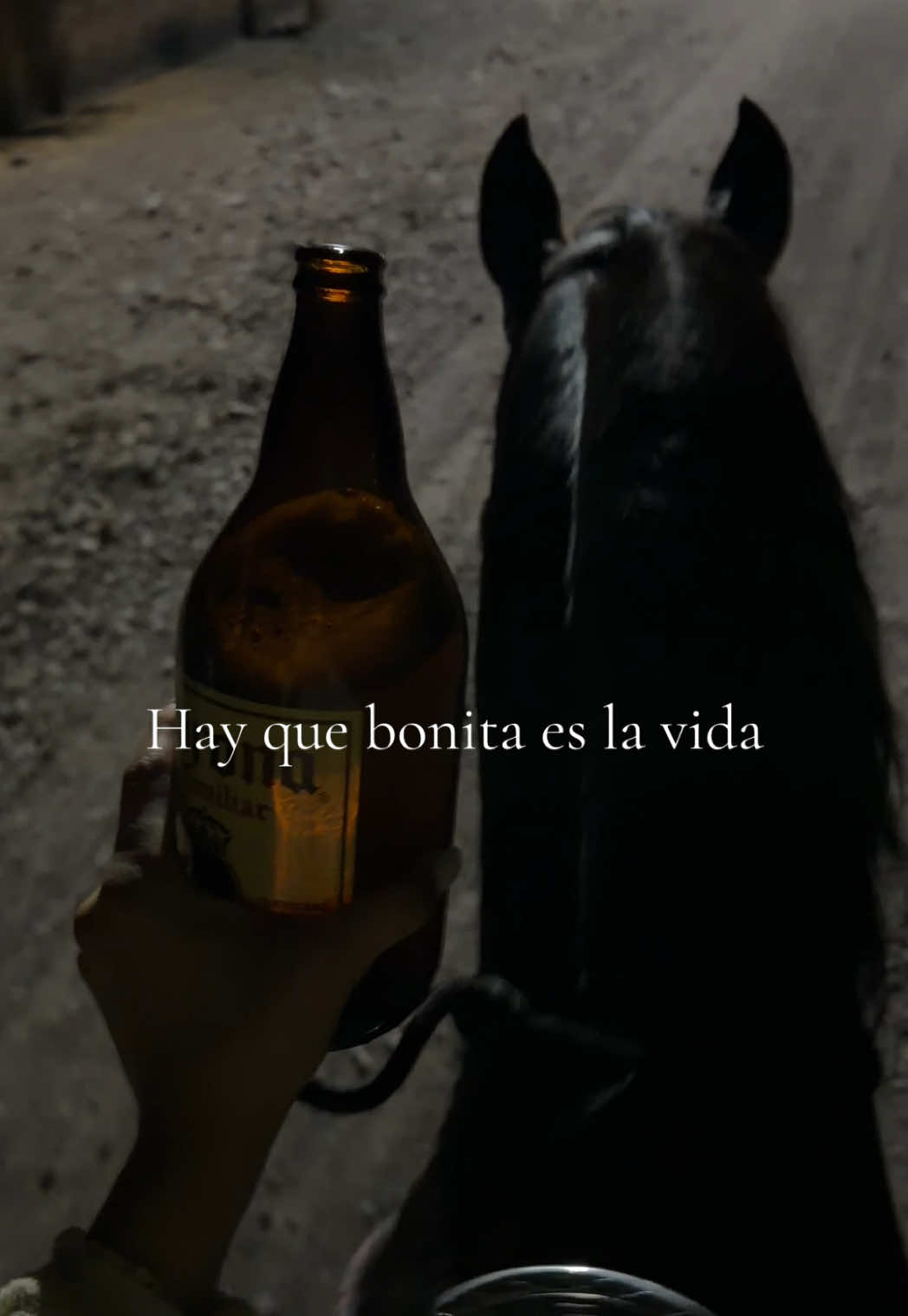 @𝒩𝑜𝑒𝓁𝓈