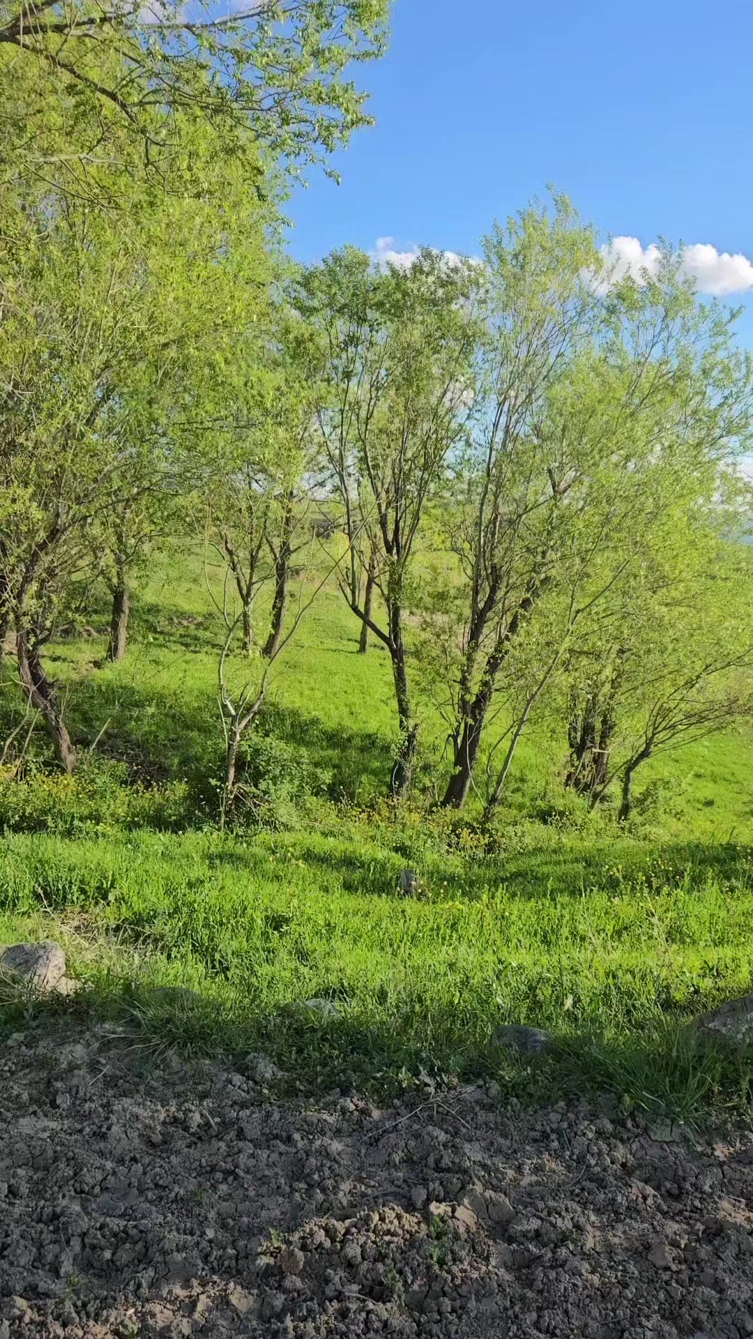 @Kerim D&ouml;nd&uuml;