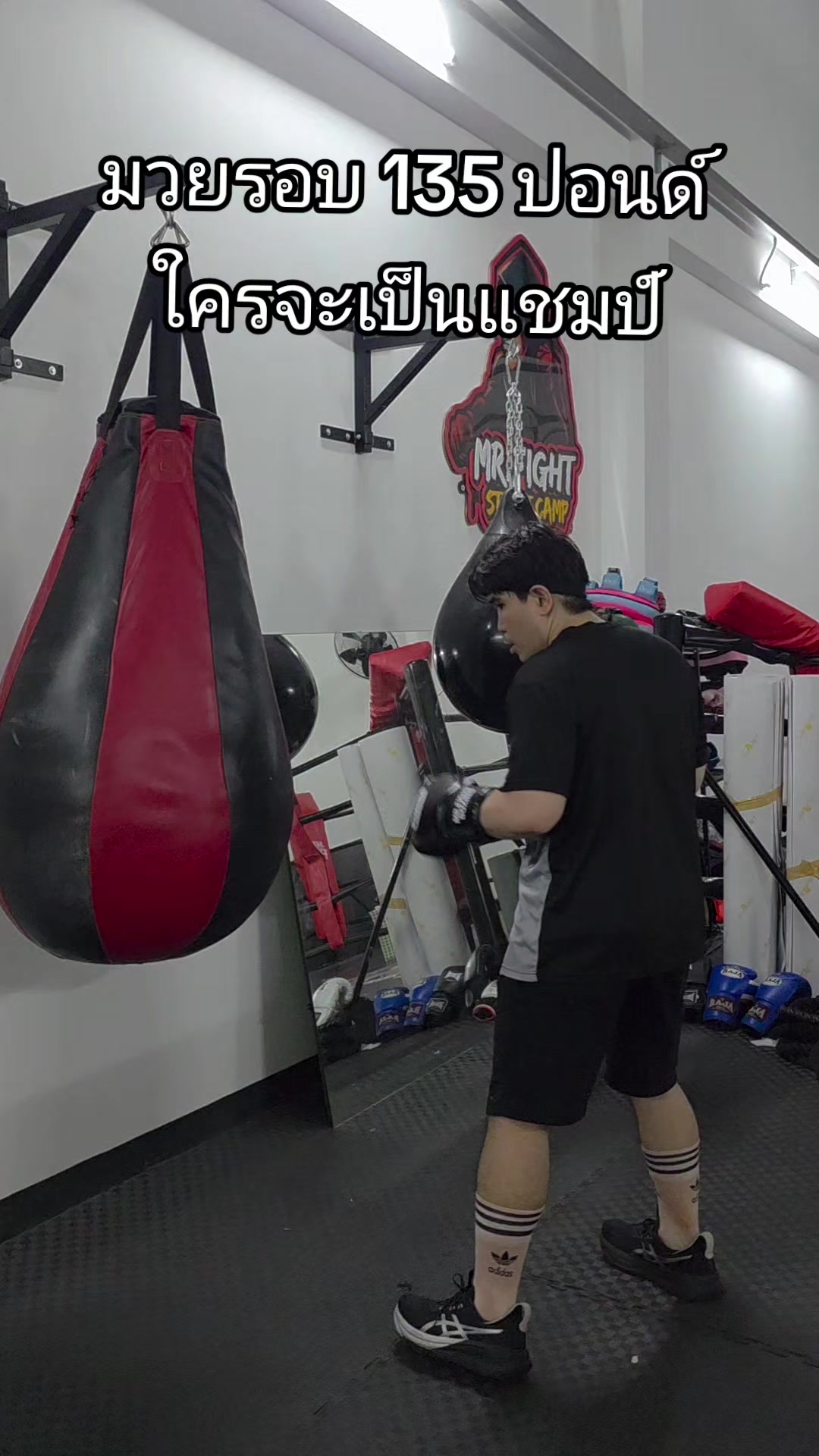 @Mr.Fight