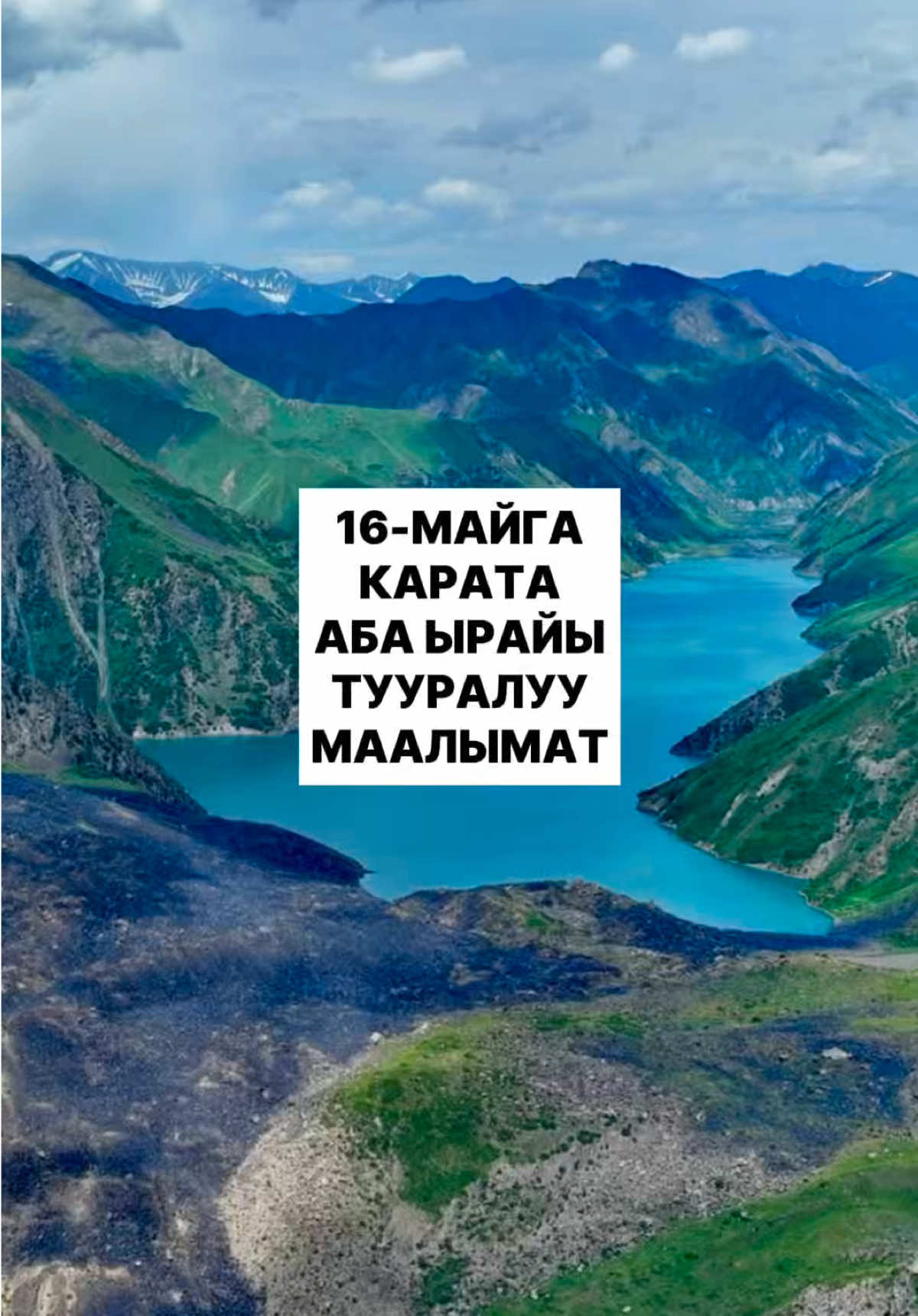@politklinika