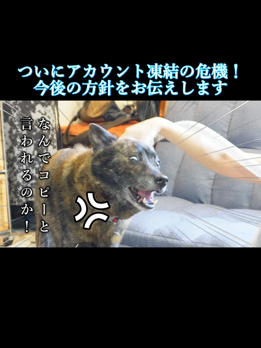 @川沿いに歩く妻サヲル
