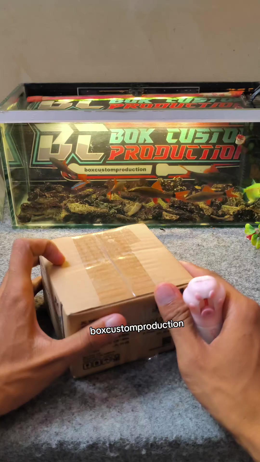 @box custom production✅