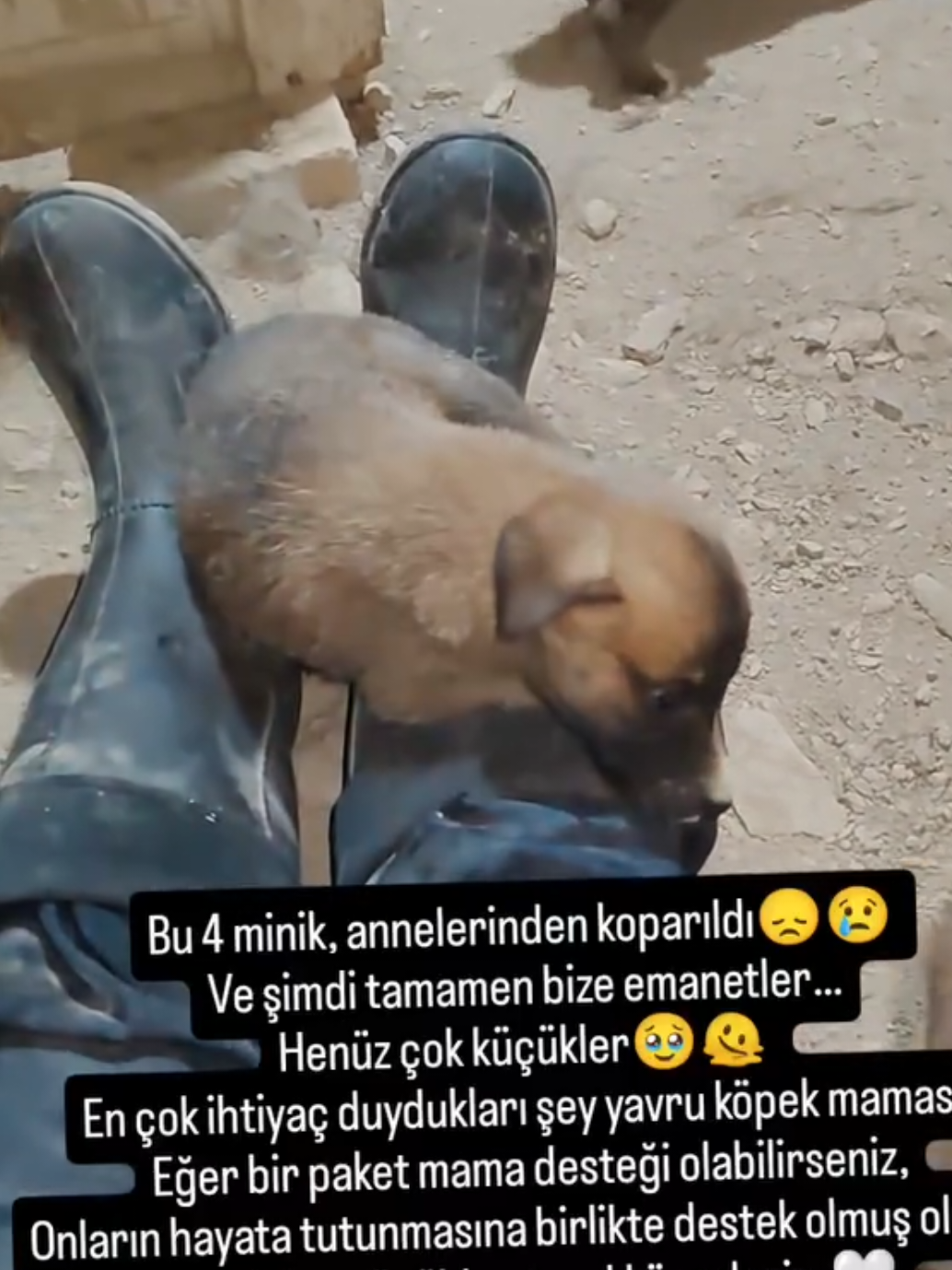 @Esma Er