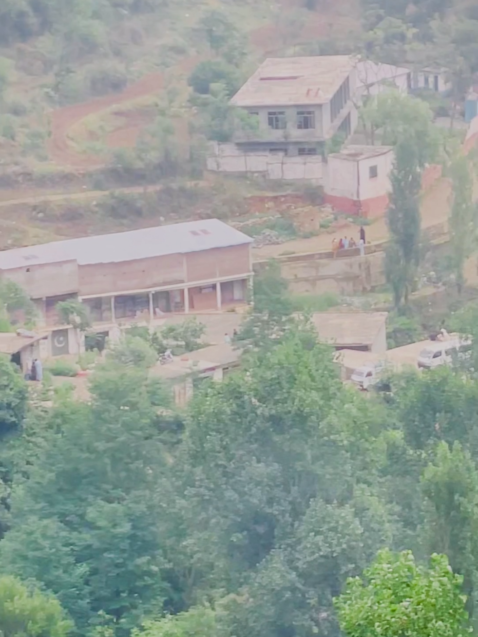 @🌲غر سنے 🌲