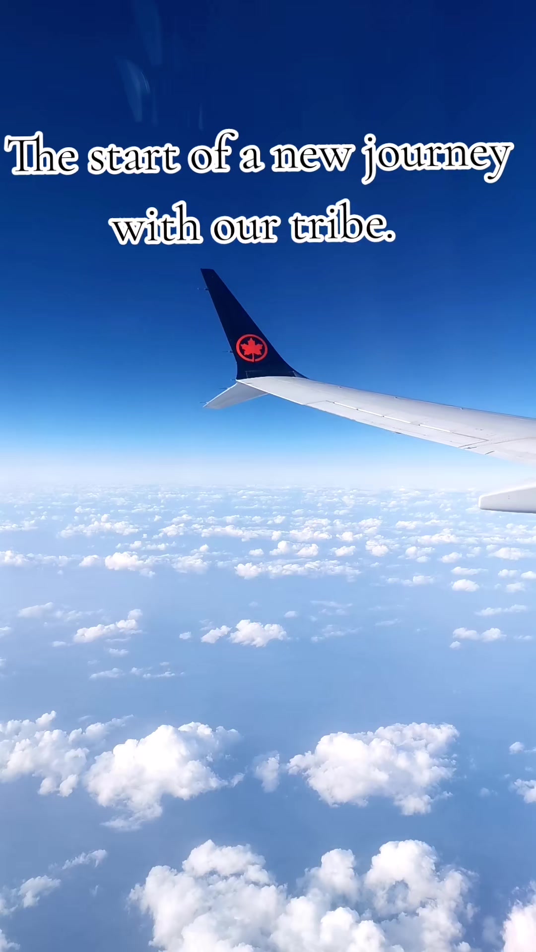 @Tribe Travel Ltd