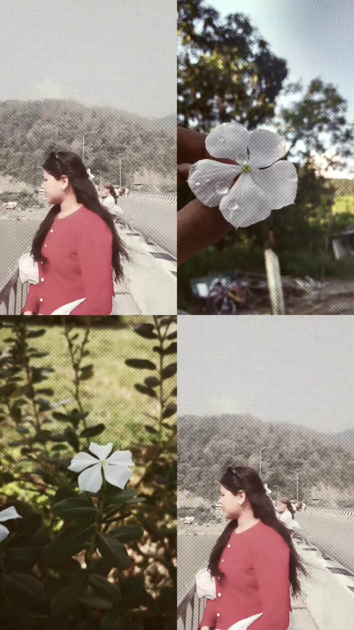 @sani&hearts;️🫶💐