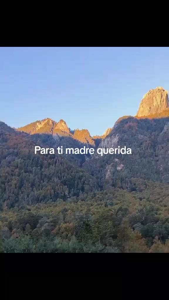 @luis JM