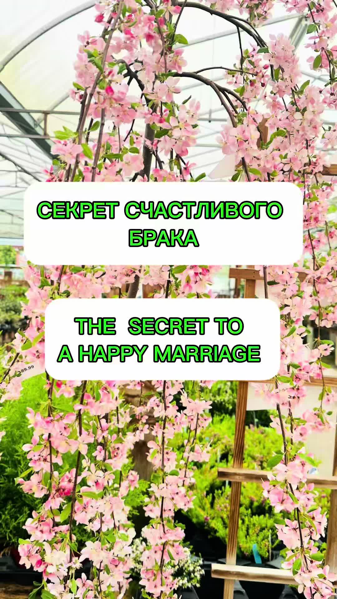 @Igor Stetsyuk