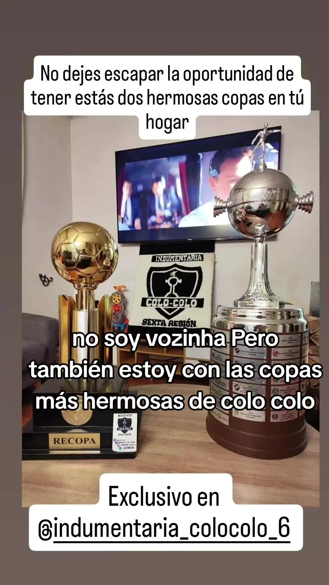 @indumentaria_colocolo_6