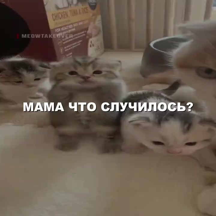 @Ку