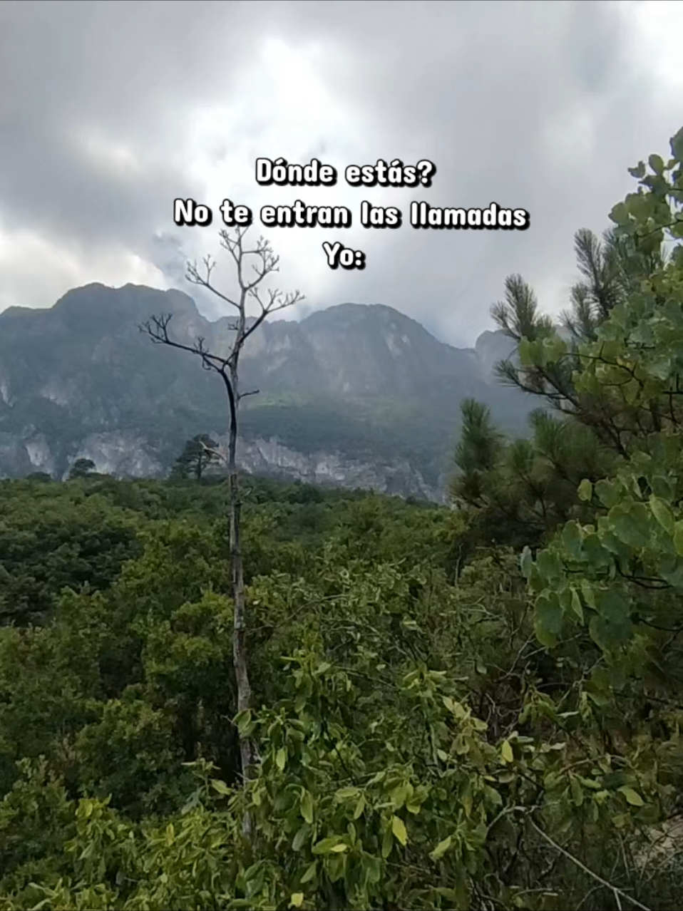 @Nela Hdz