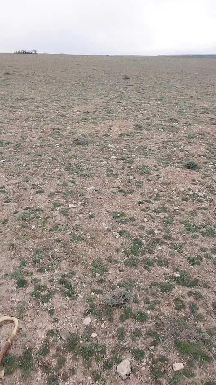 @Ismail Çapar42