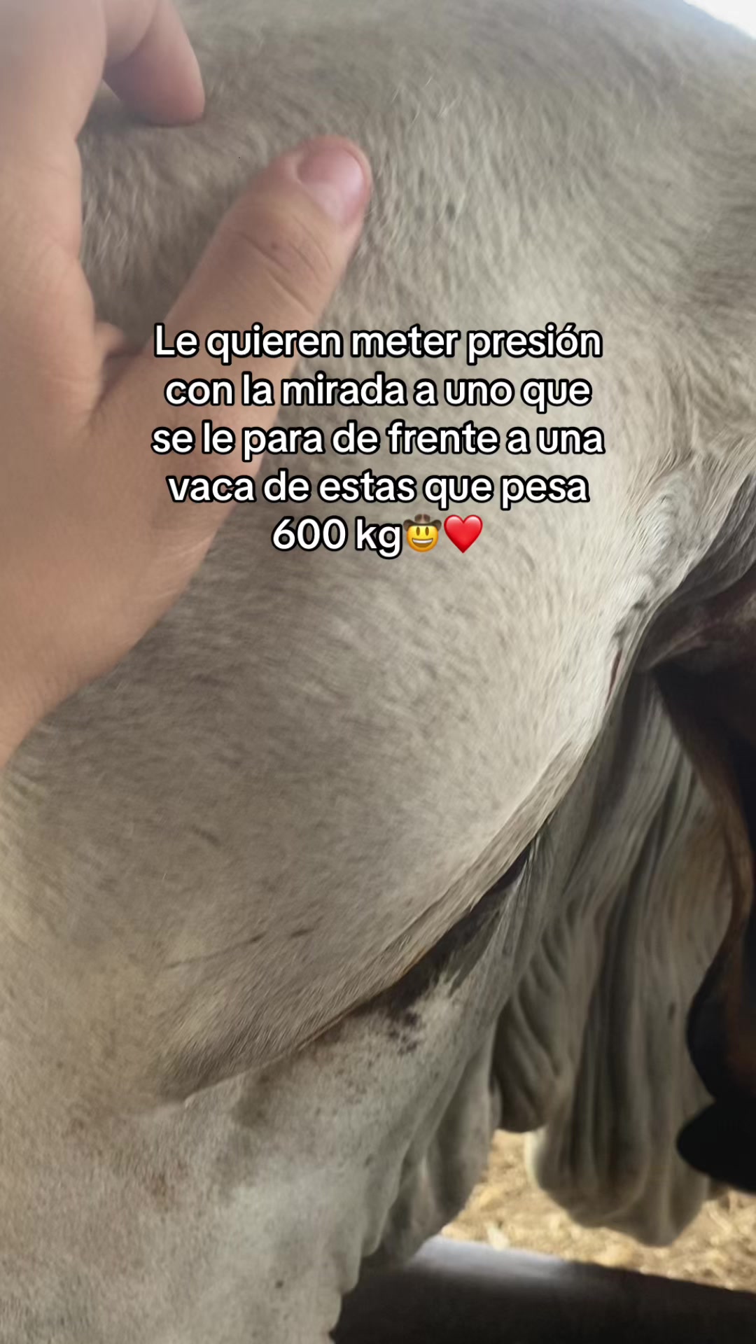 @Castañeda Rubio 🤠❤️