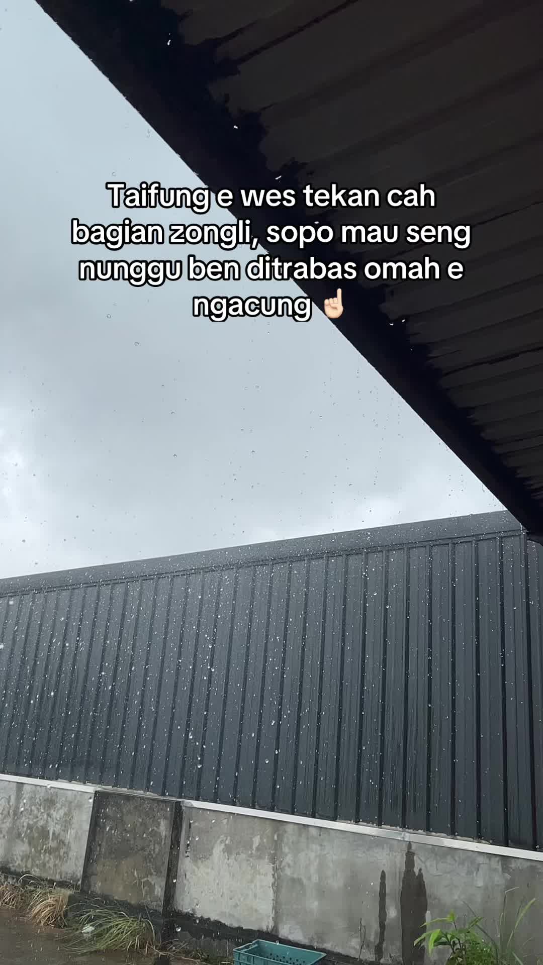 @𝙵