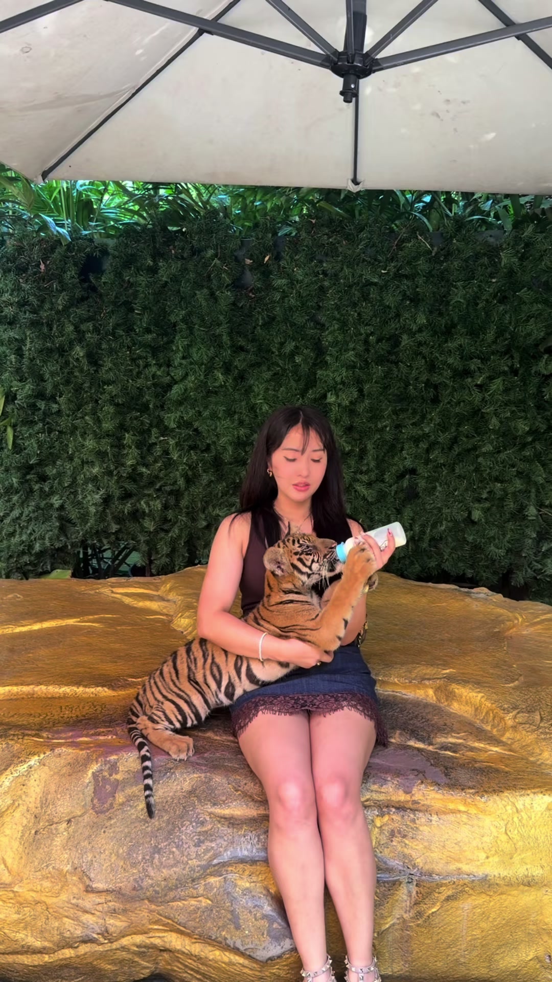 @AA the explorer ๐