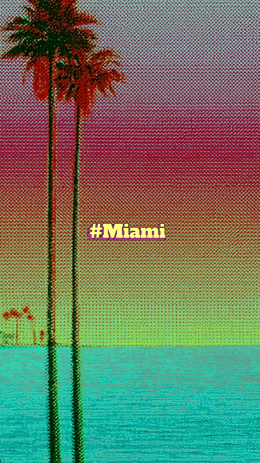 @Miami Raiden