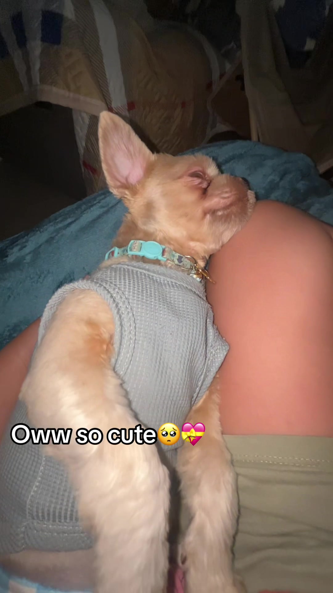 @🌈Itzmee_bella💖