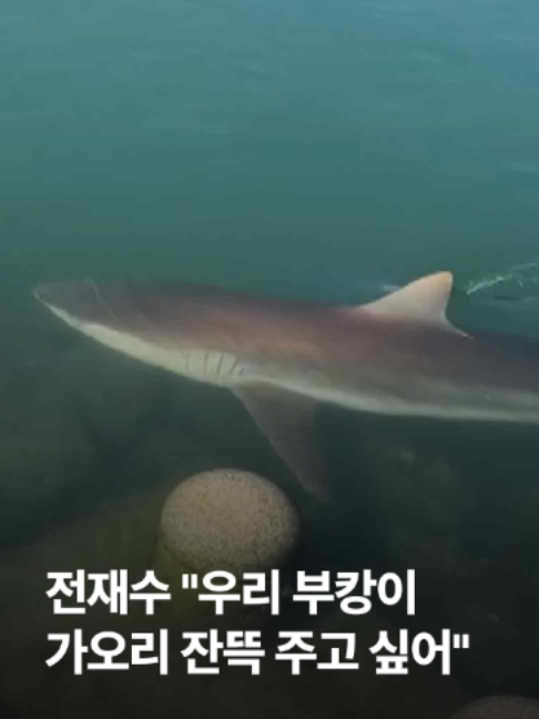 @JTBC News