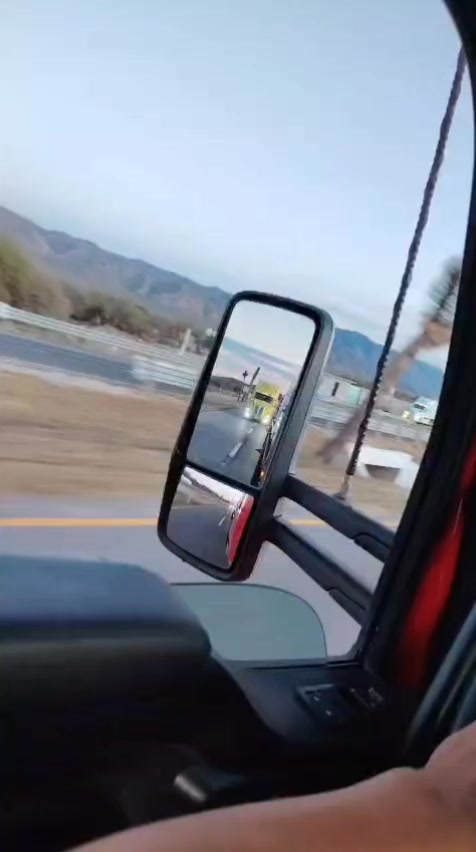 @perrito de ataque
