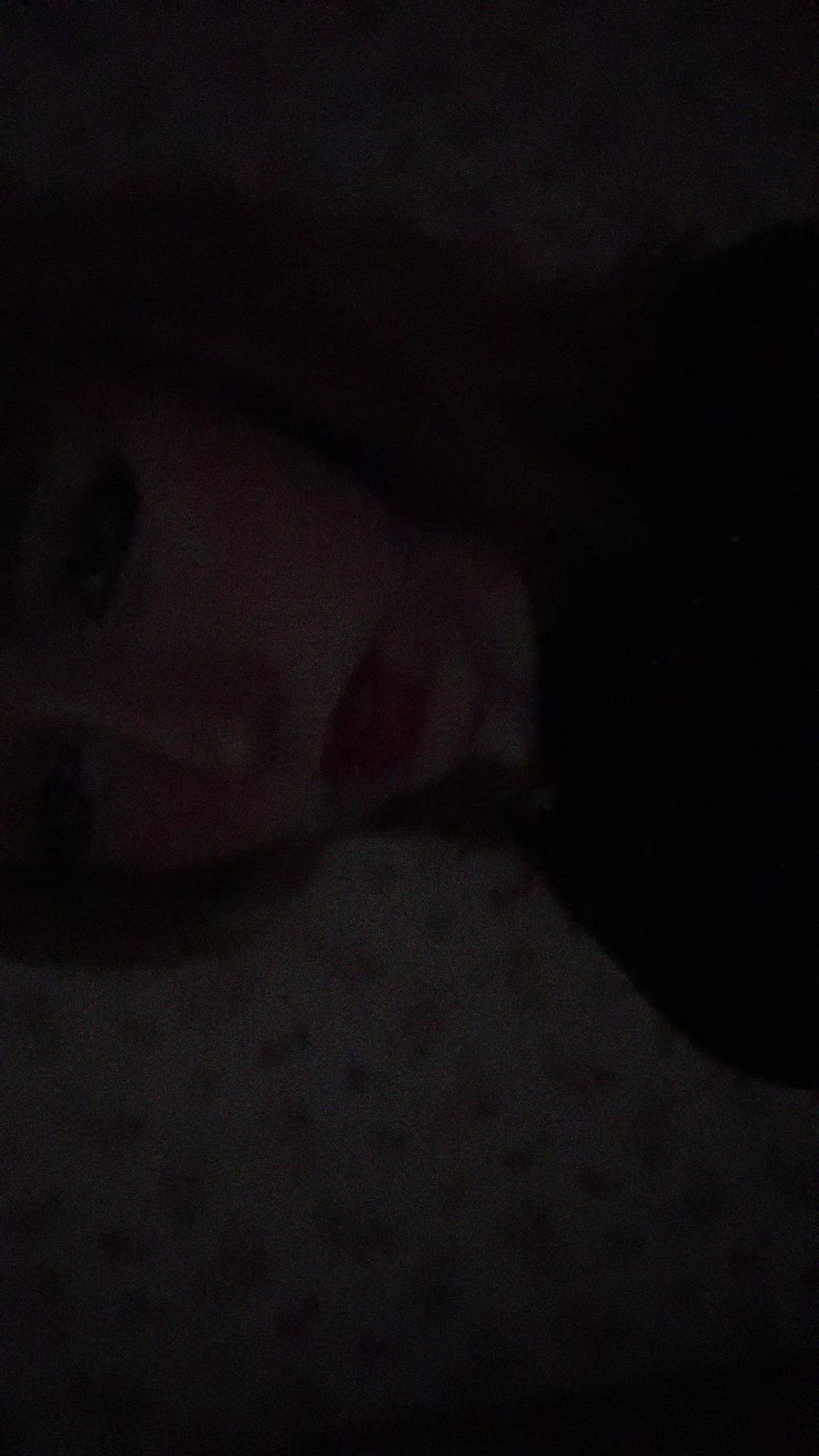 @шайбистова🍒