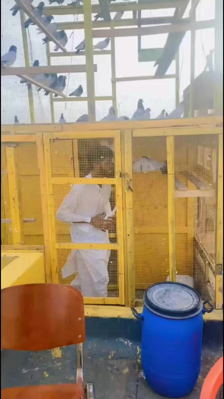 @Imran Jutt💰💸📊
