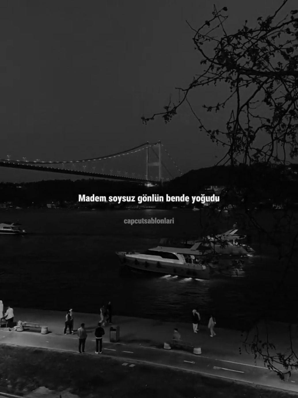 @Capcut Şablonları