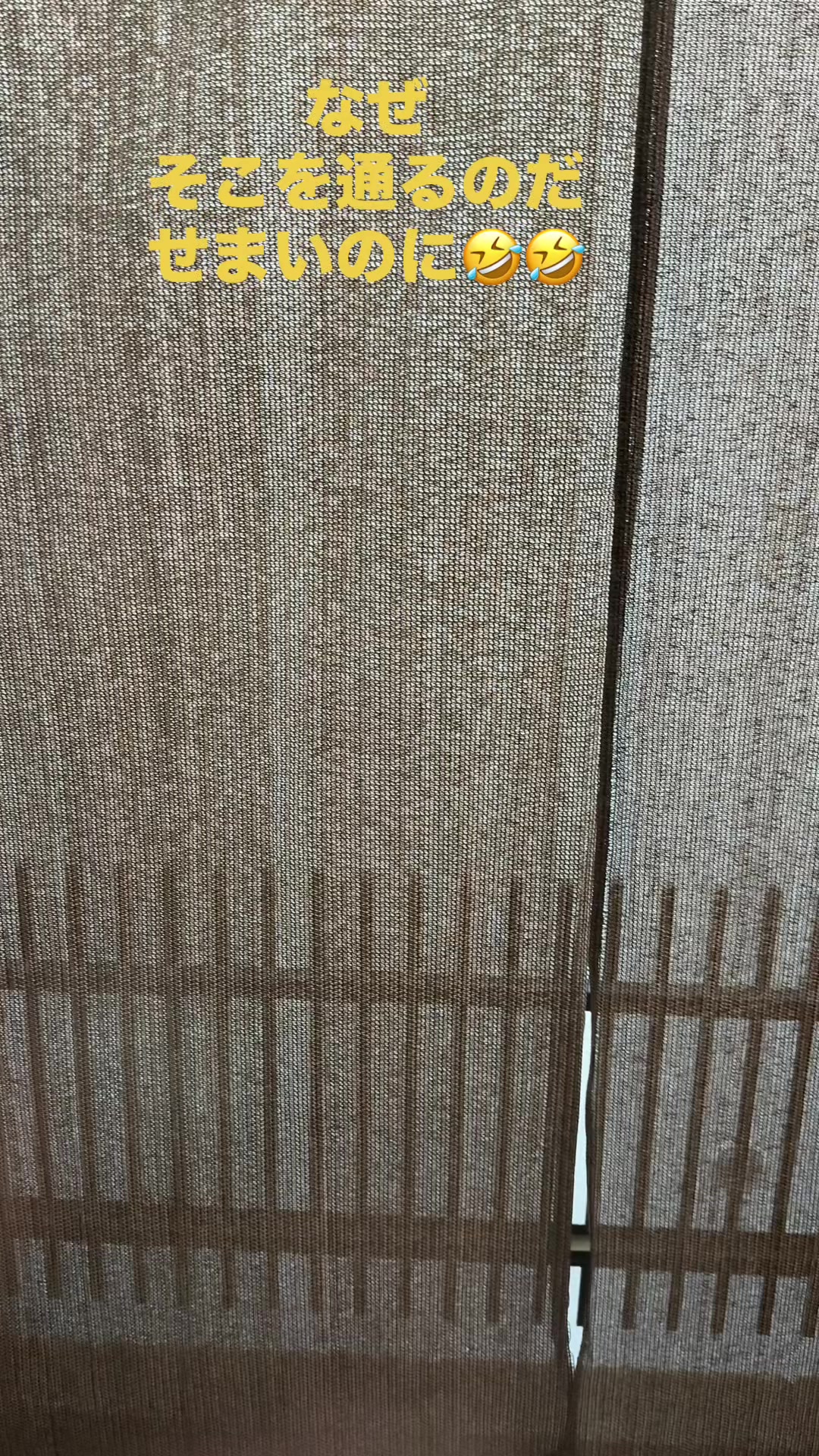@ムミチャン