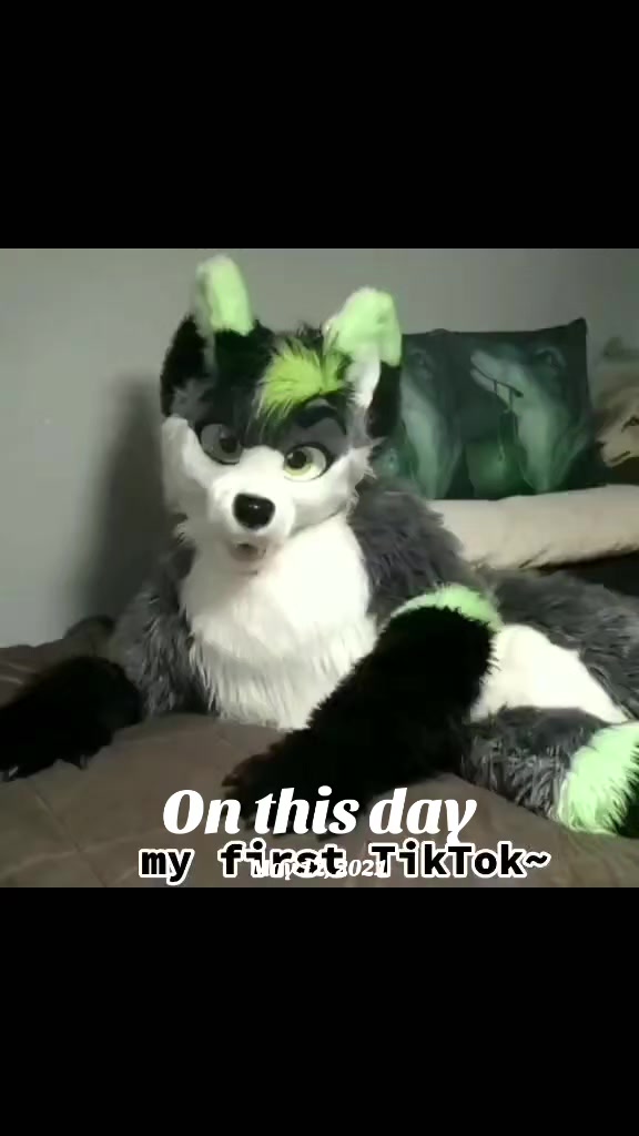 @Firefly Wolfy