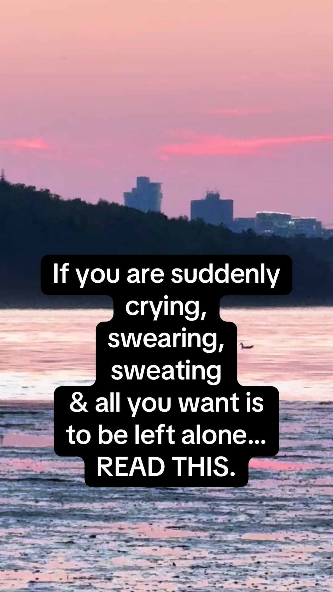 @QuietPivot 🇨🇦