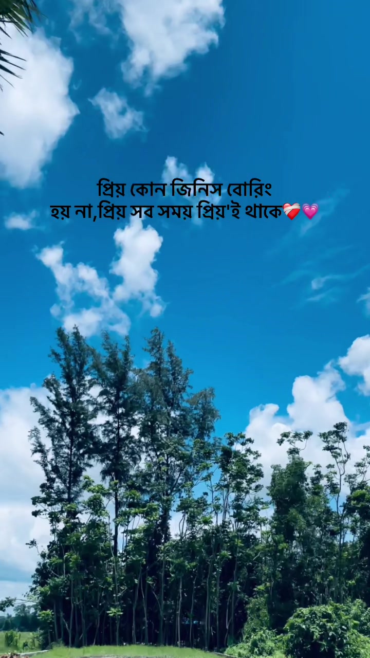 @SEZAN. 