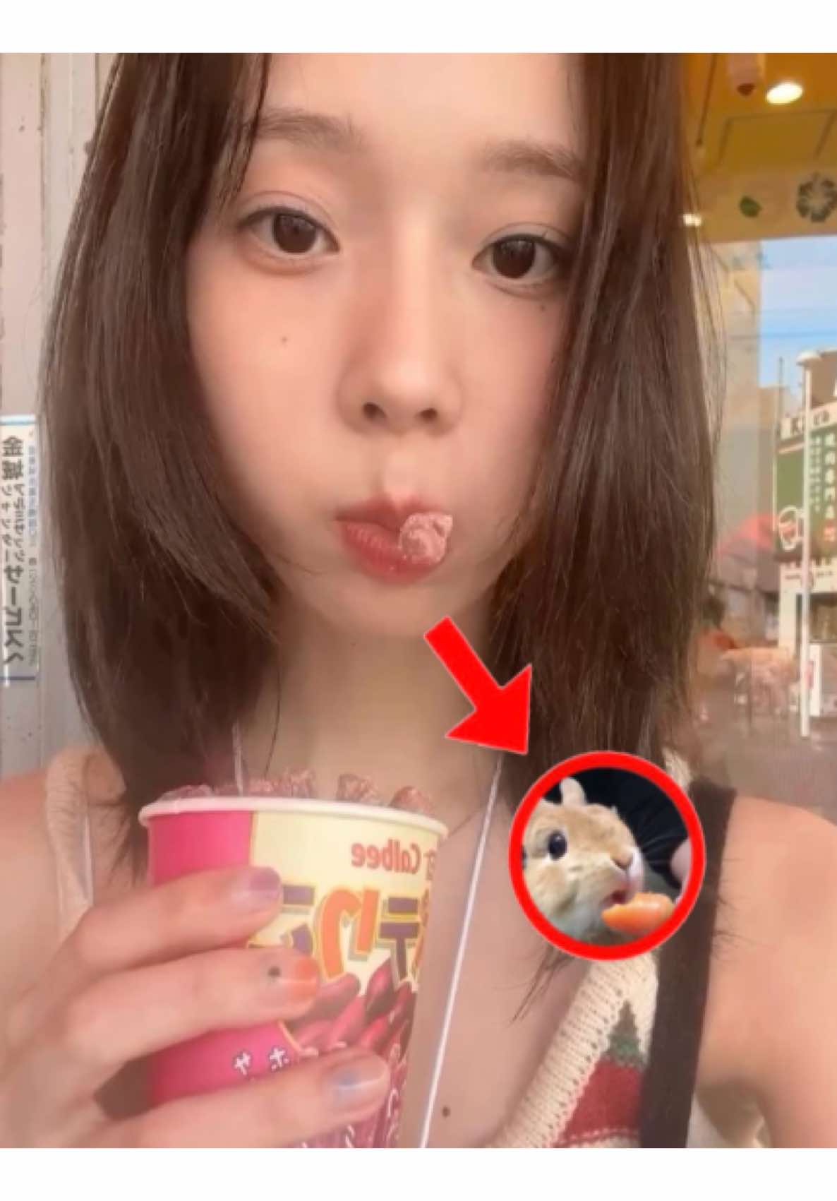 @bunny