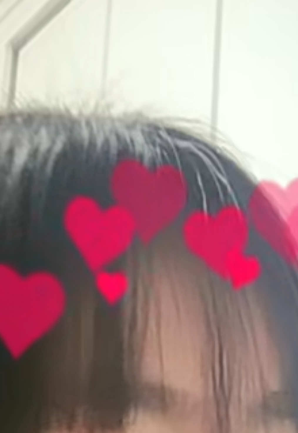 @白宮 沙莉