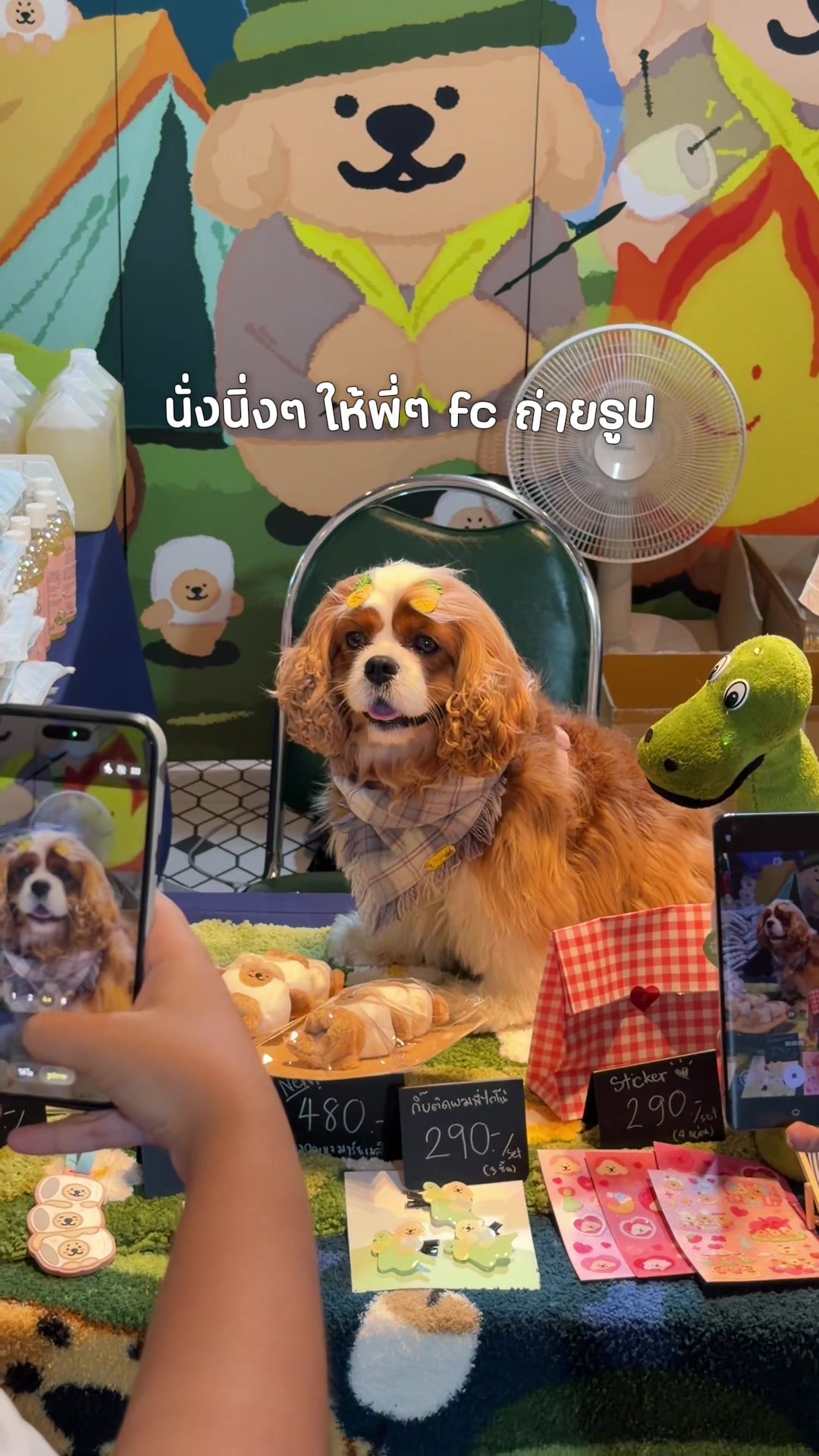 @Joommeng Mee Arai