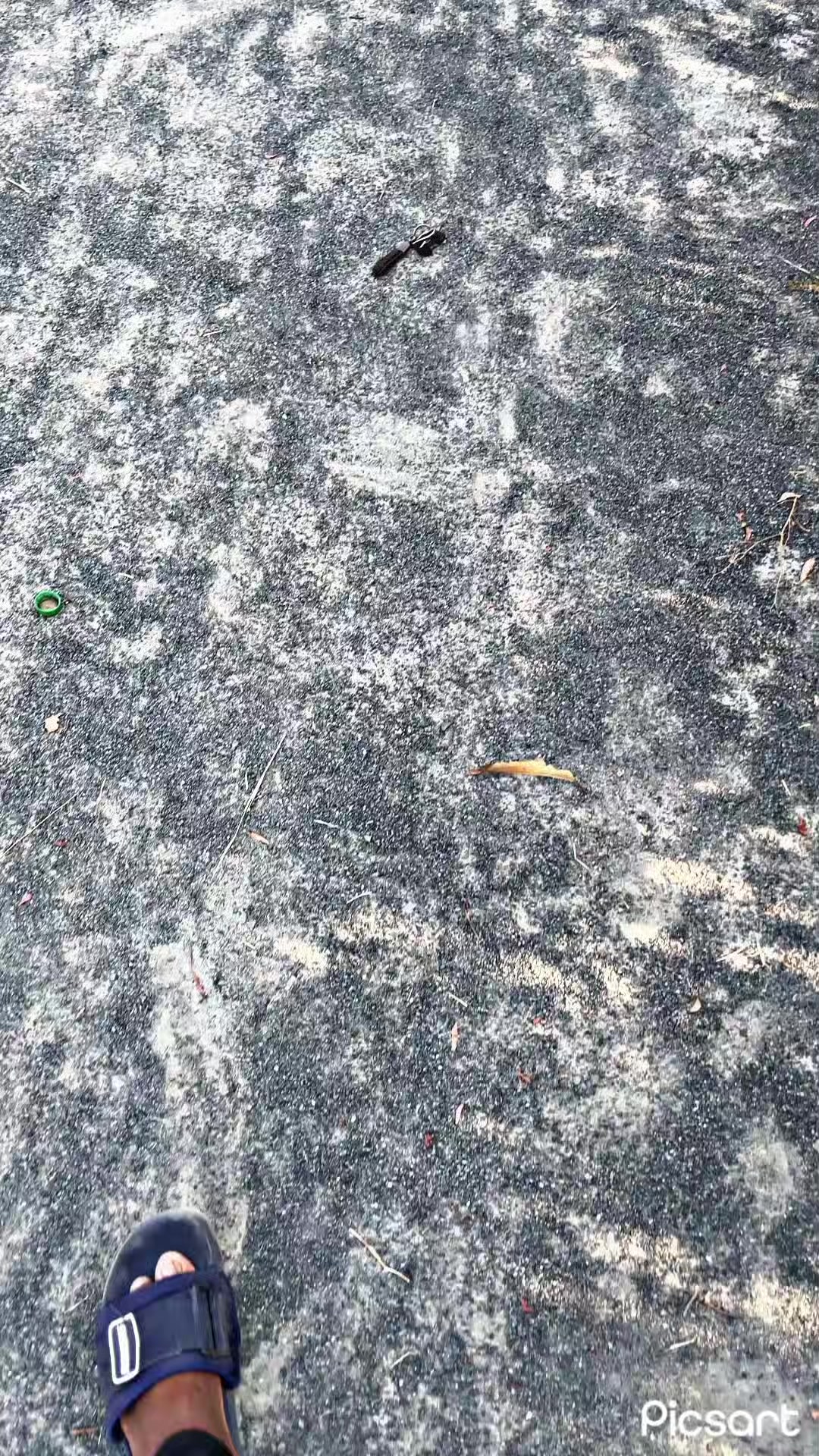 @✿🅳🅰🅽🅸༶♛