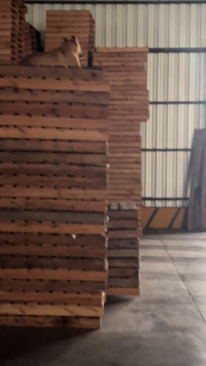 @alejandrofernan297