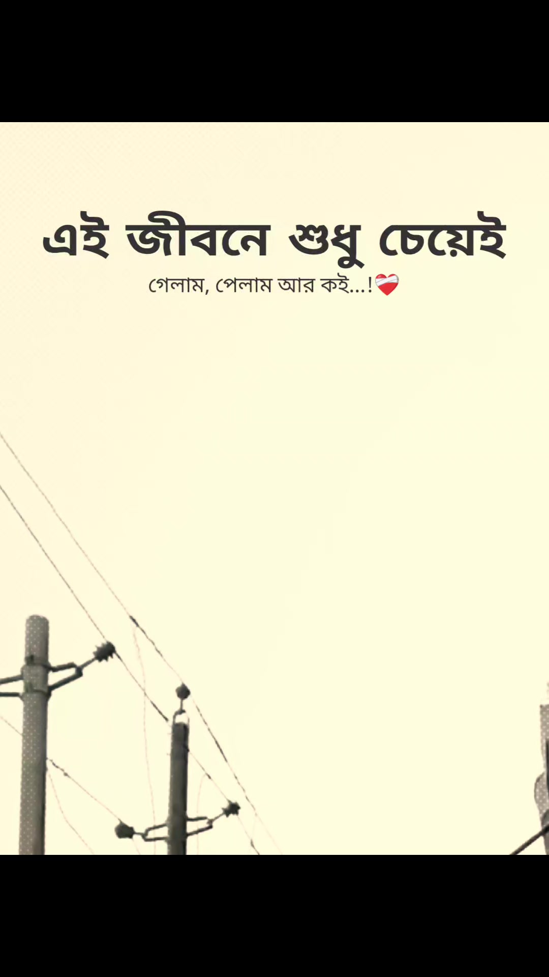 @꧁⭑শেষ পৃষ্ঠা⭑꧂