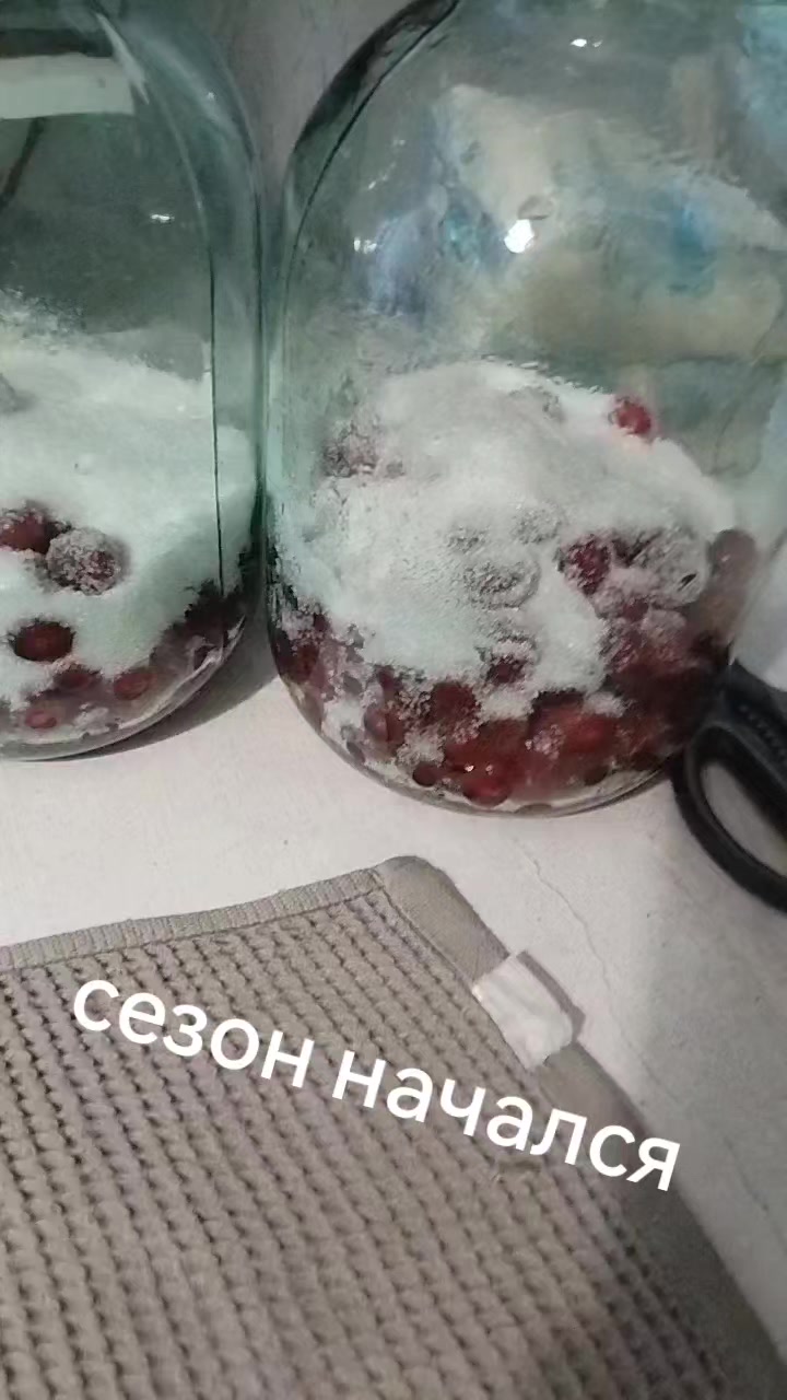 @꧁АНЮТА 71꧂НОВИКОВА