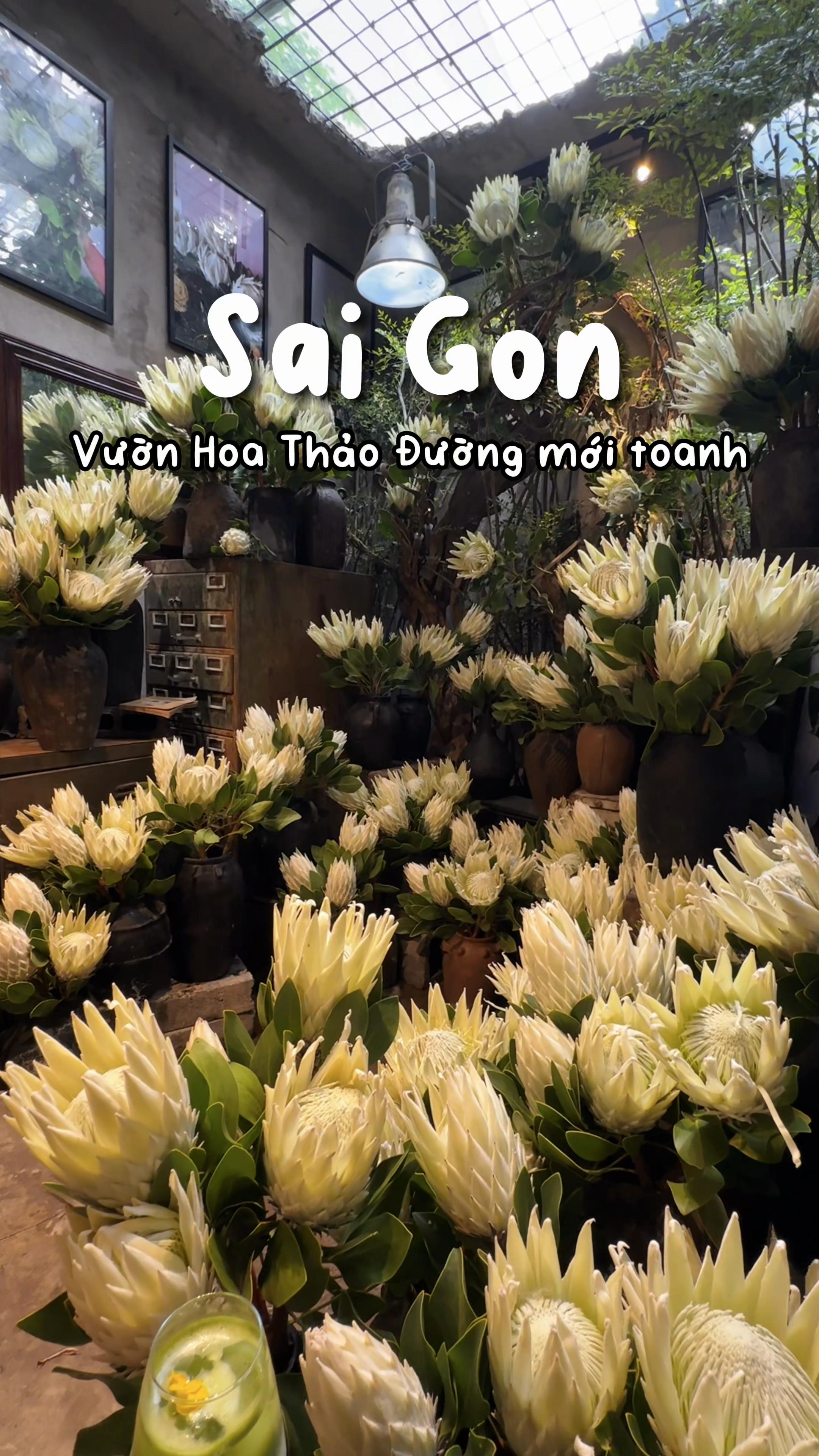 @1 phút Sài Gòn