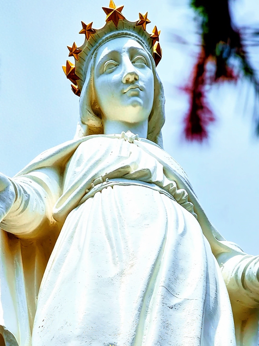 @𝑵𝑰𝑮𝑯𝑻𝑬𝑬𝑵𝑶 19