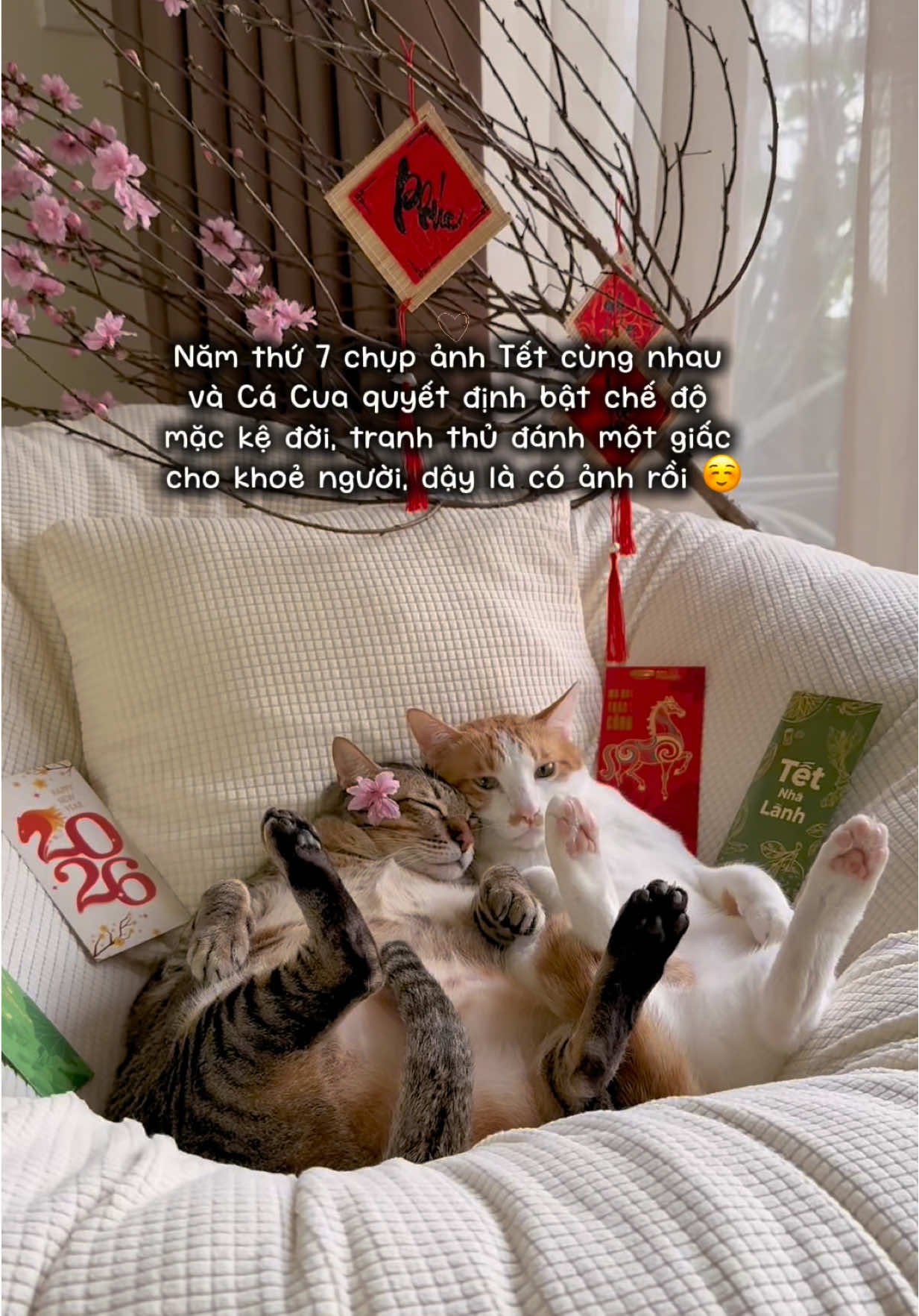 @Gia Đình Cá Cua