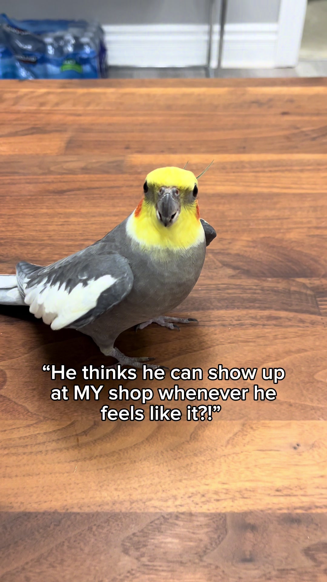 @Emery The Branch Manager