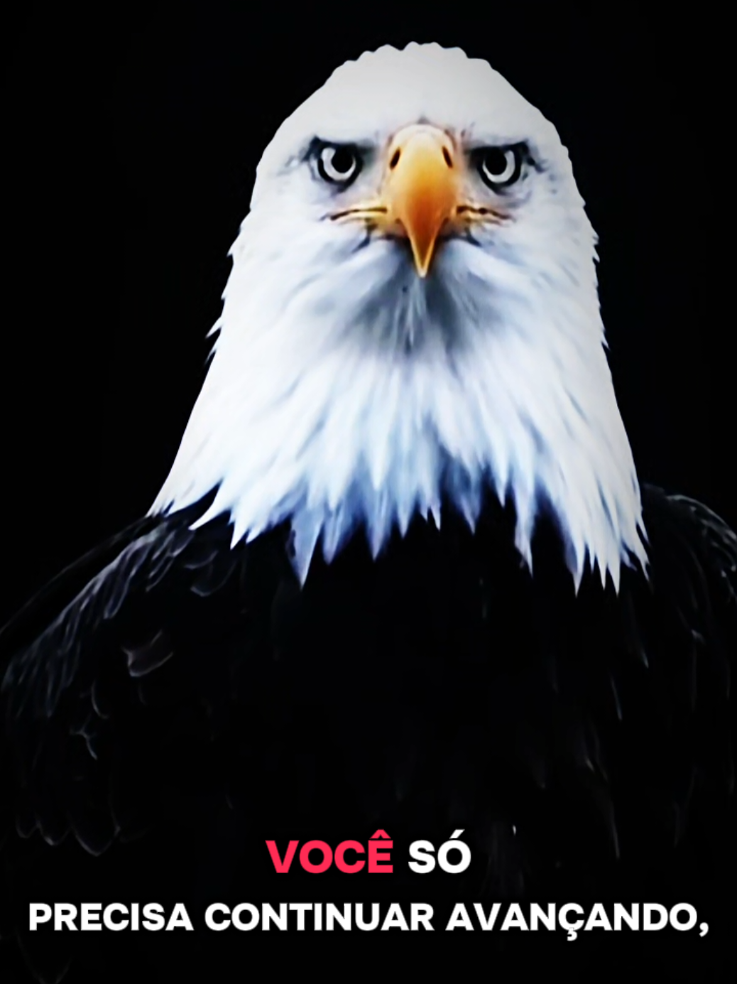 @Motivação em Palavras