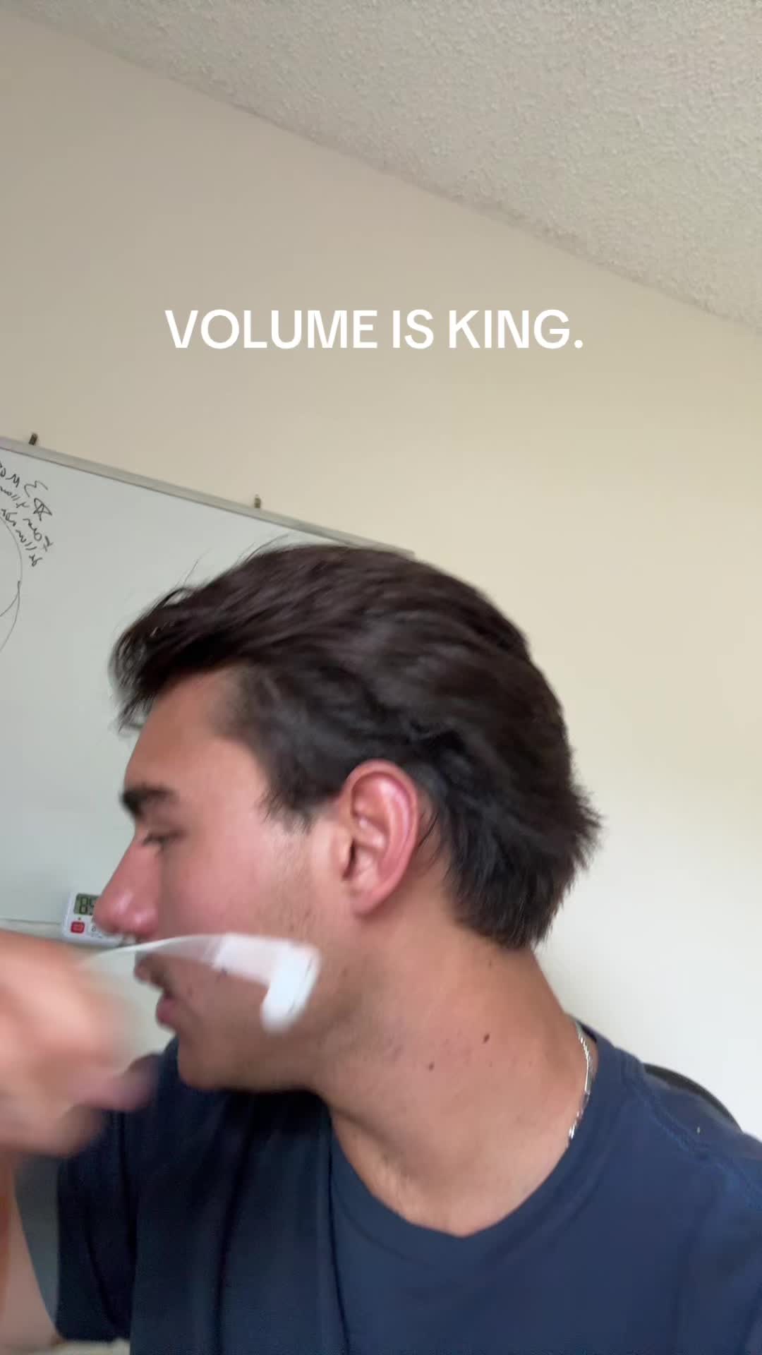 @mendiolaenusa