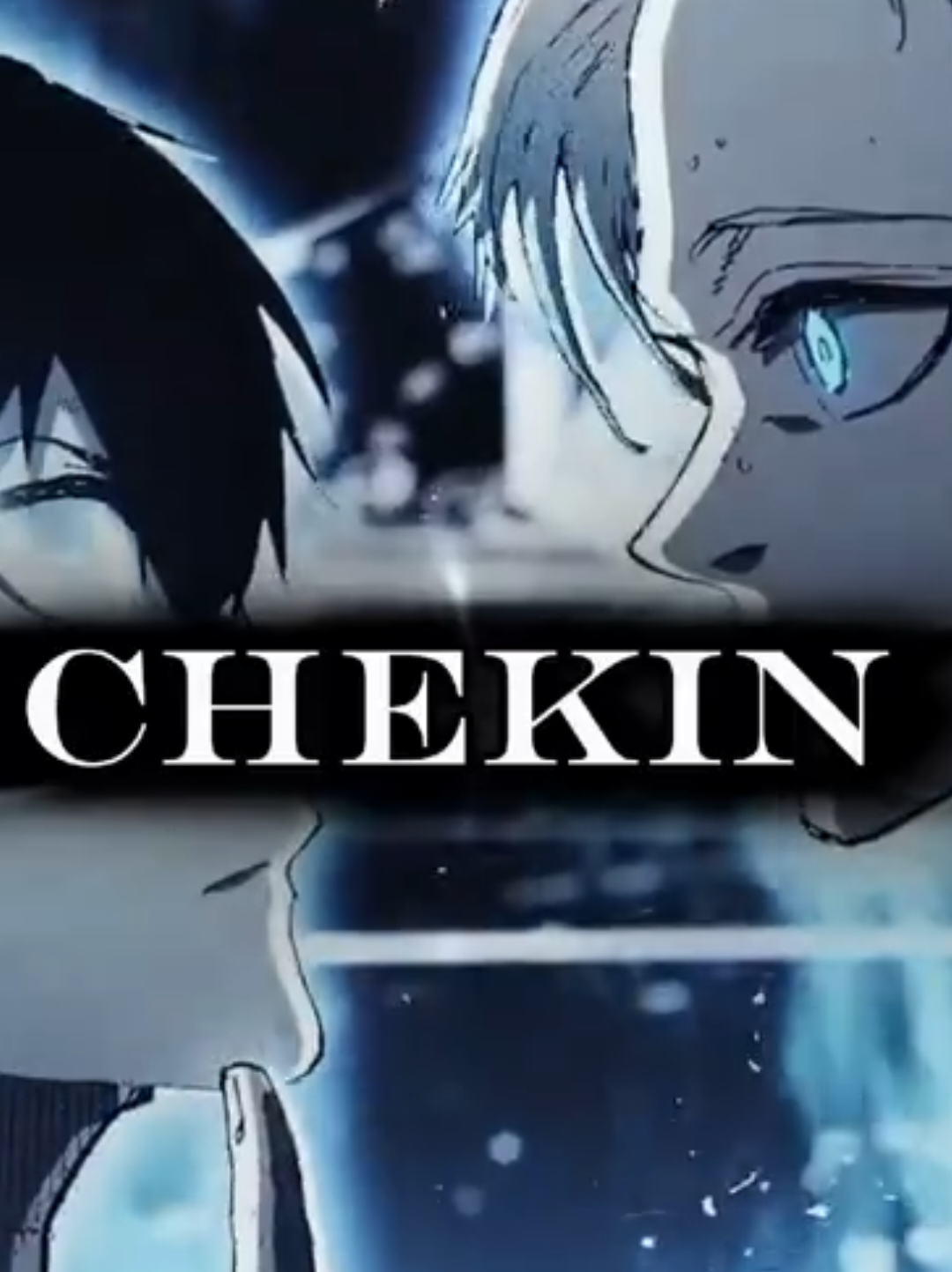 @CHEK1N