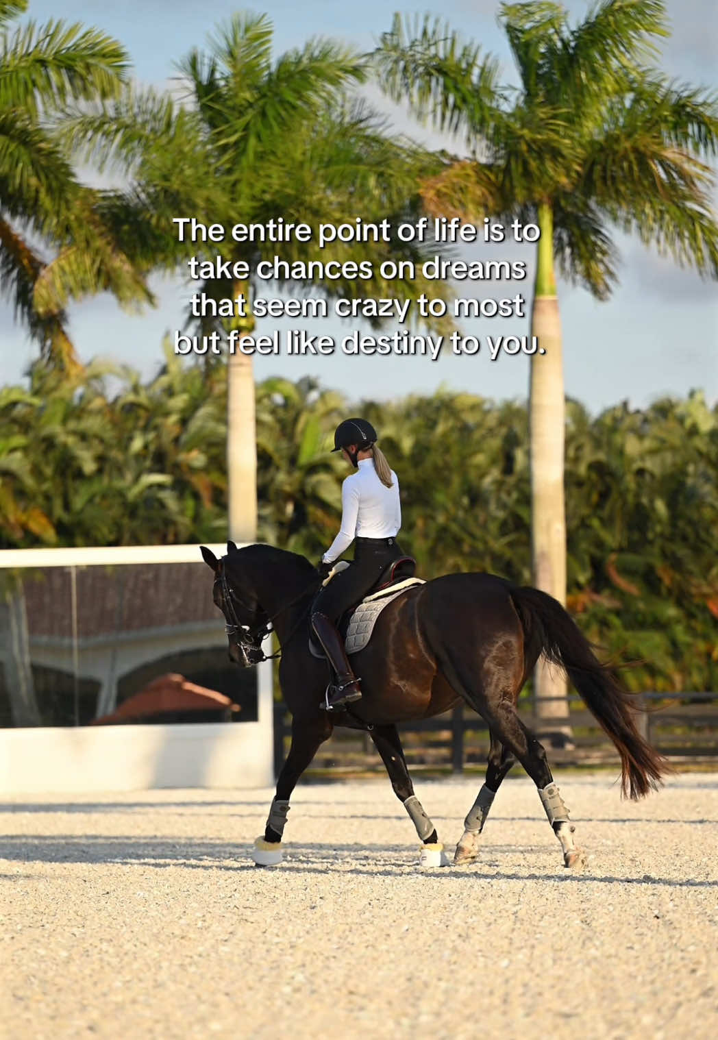 @Free Ride Equestrian