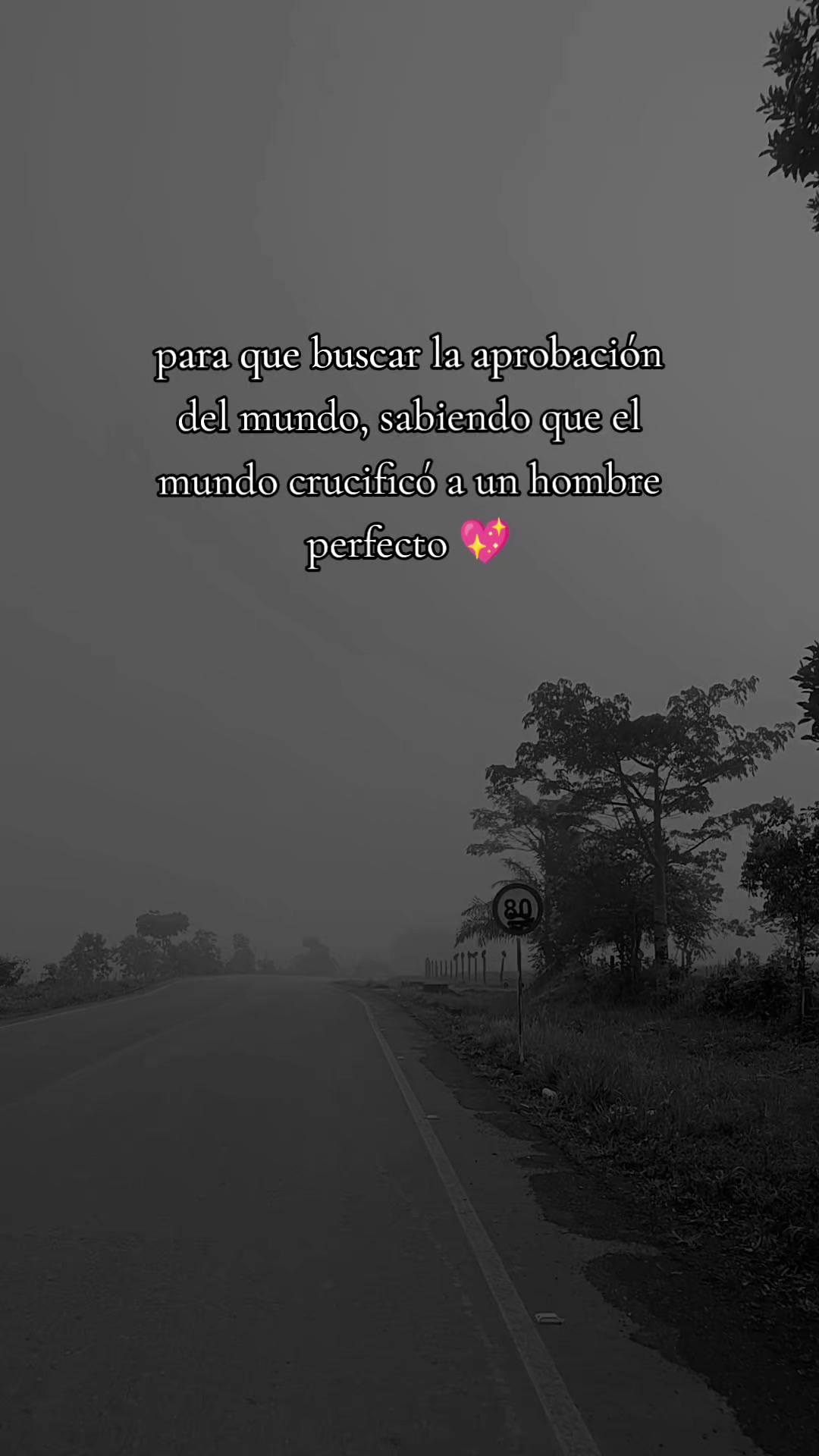 @Caroliina✨
