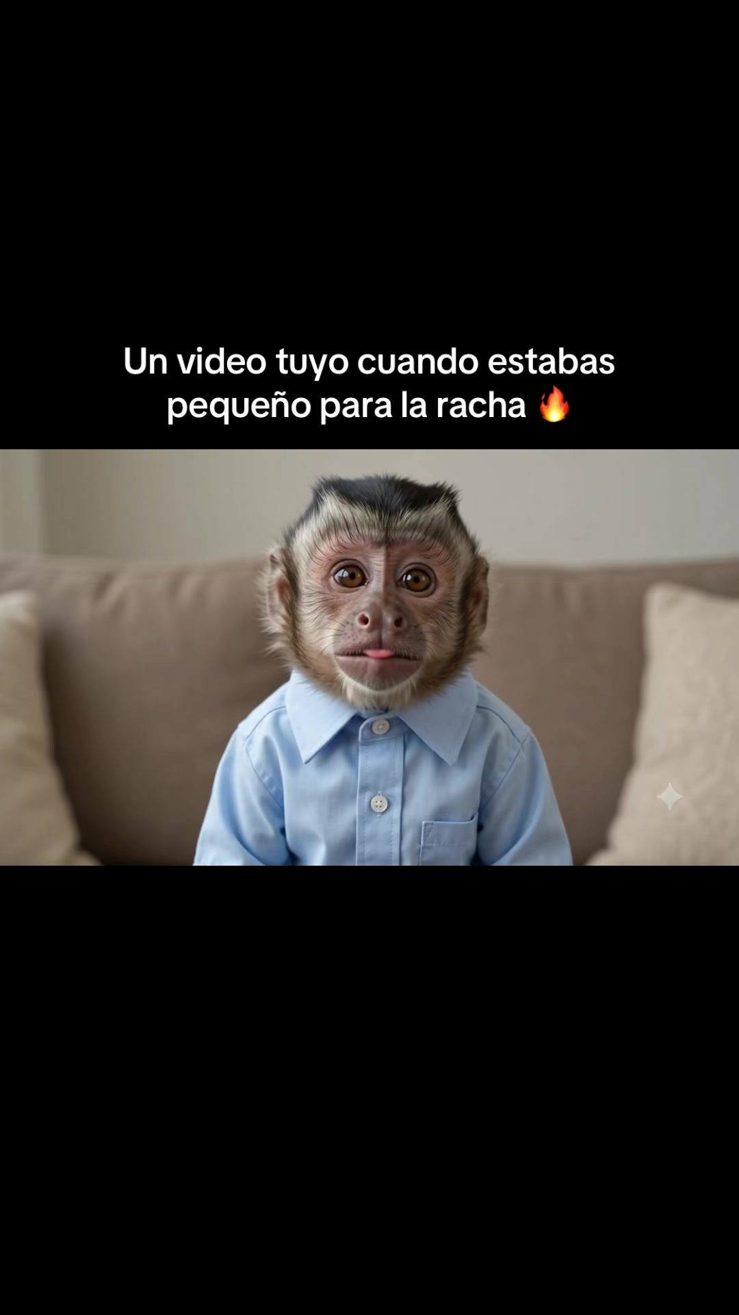 @RabPesito 🔥