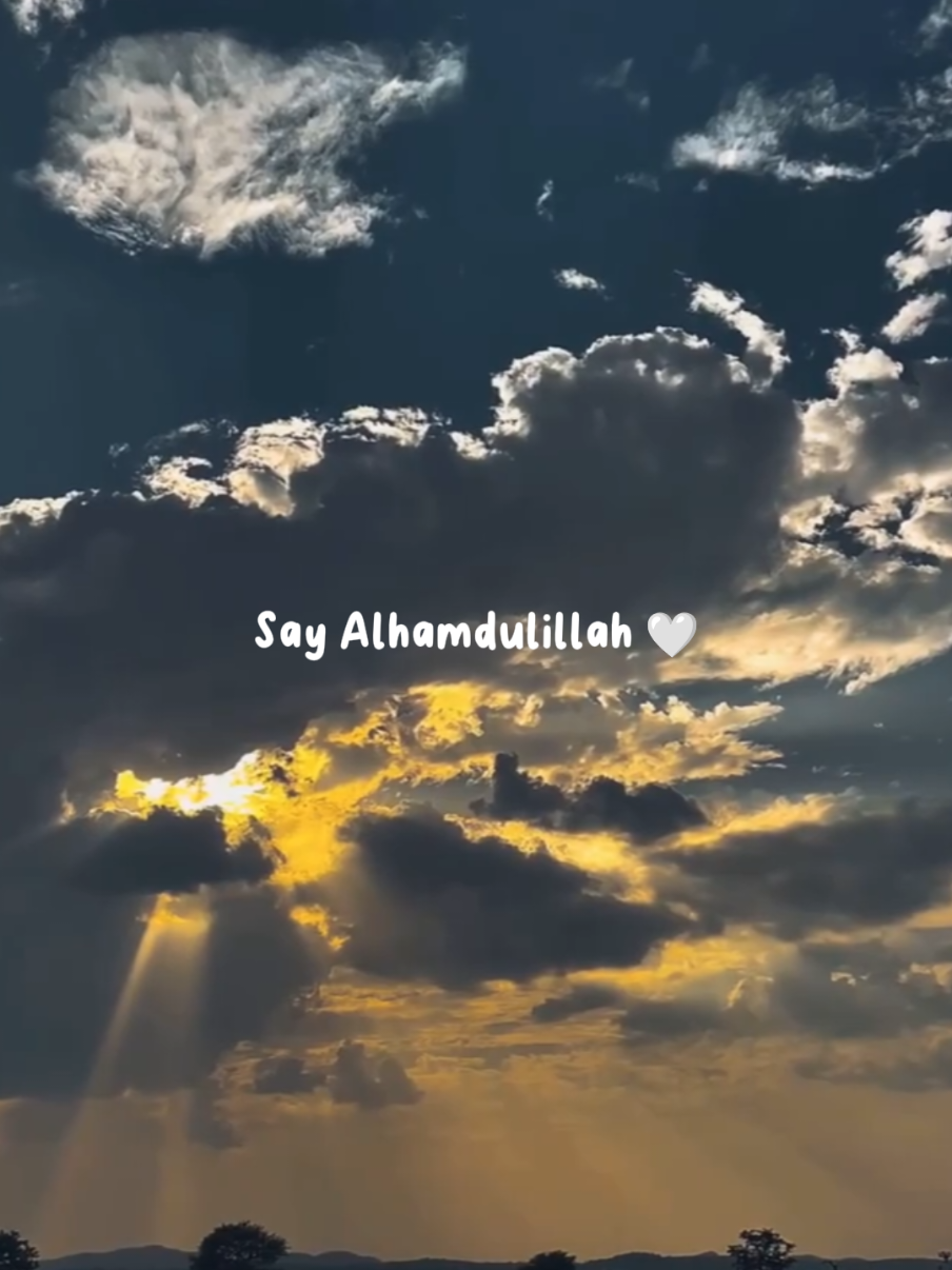 @its.amna_