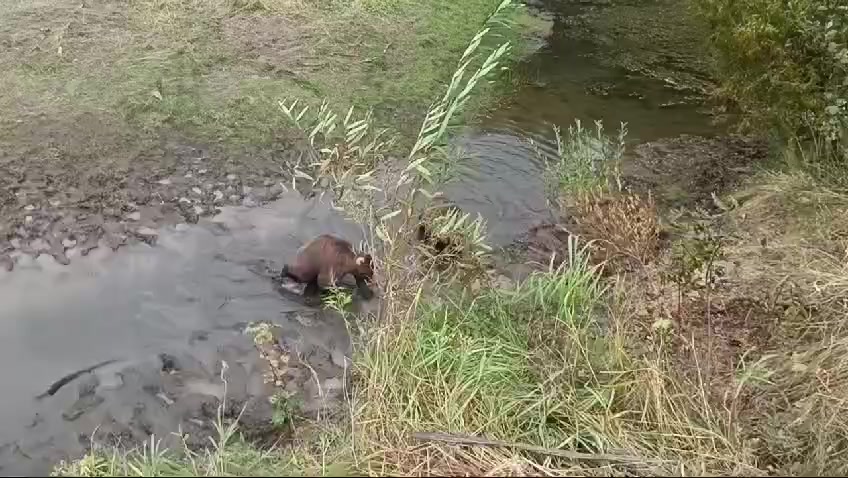 @Не повторять !!!